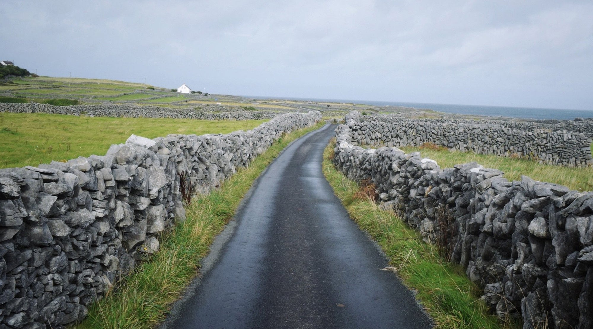 The Northern Ireland Assembly's Climate Bill and the stove industry's response