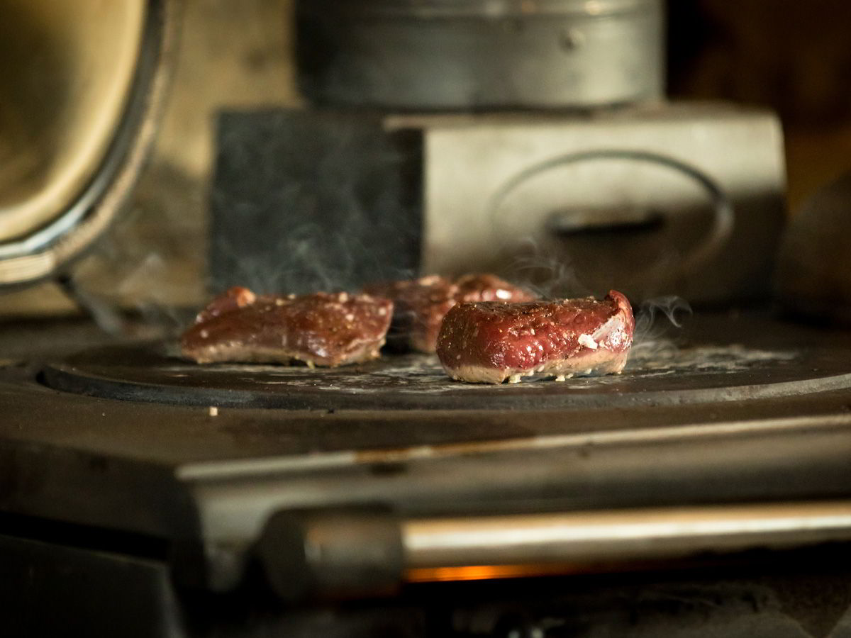 ESSE Ironheart graduated wood-fired hotplate detail