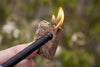Natural Instant Fire Starters-Big Green Egg-The Stove Yard